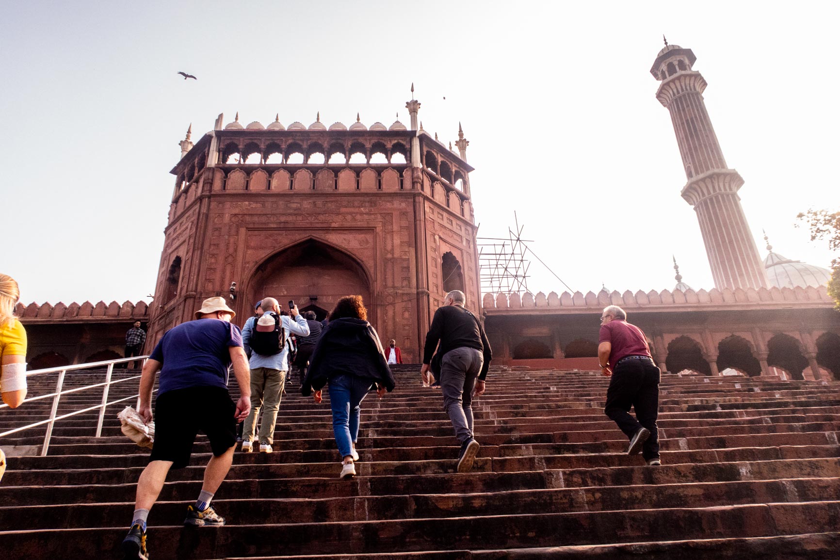 india
