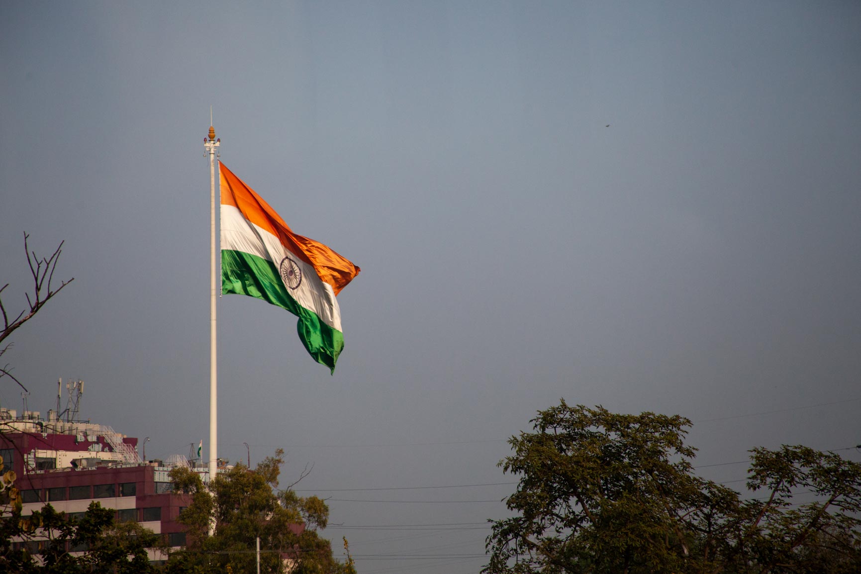 india