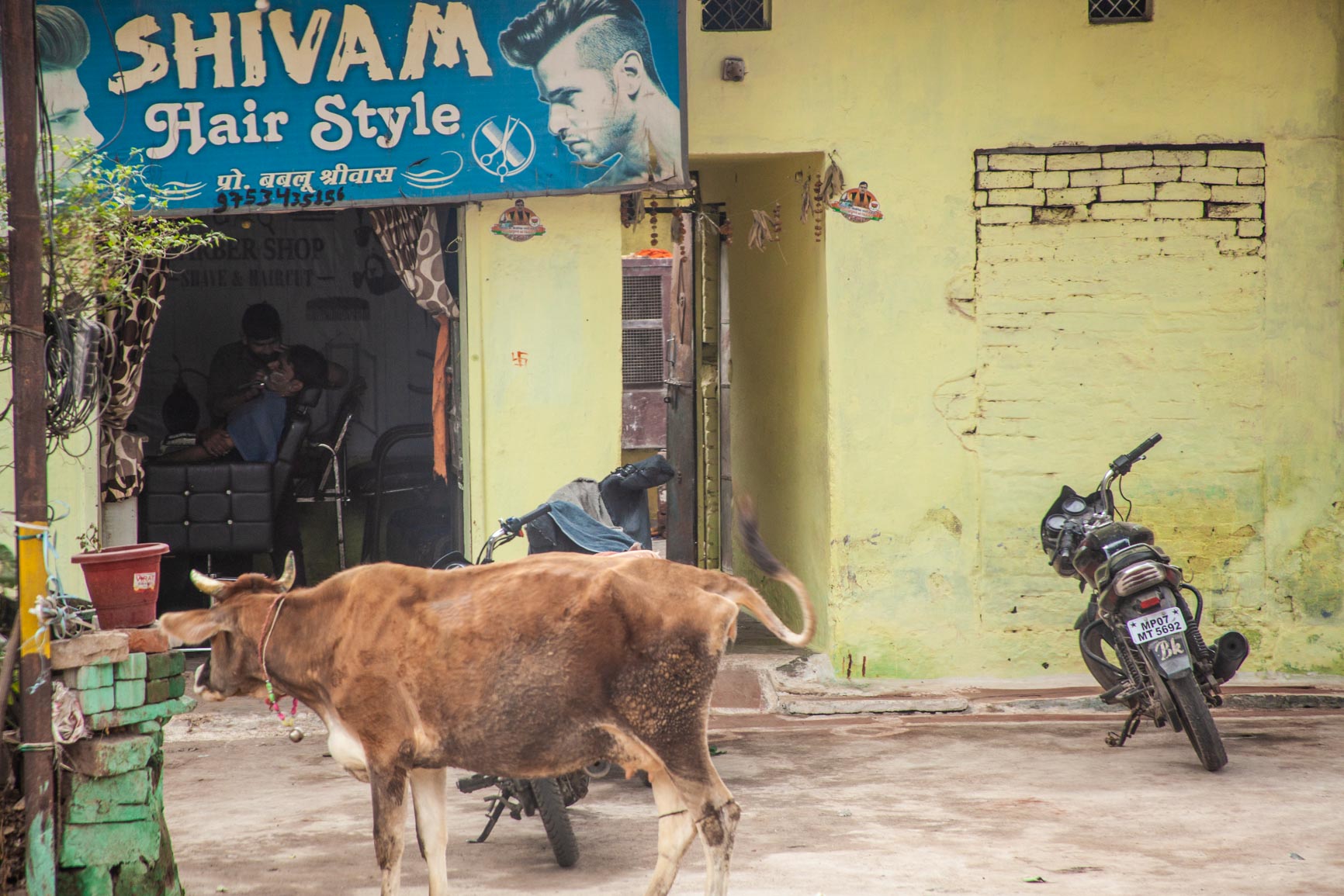 india