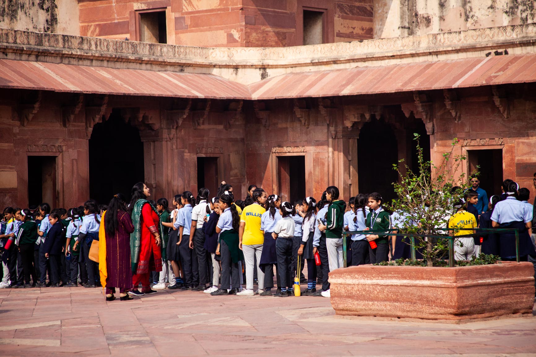 india