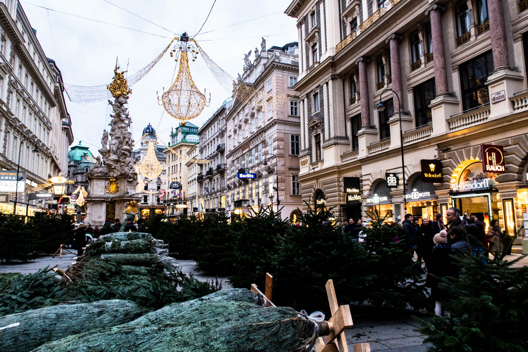 vienna