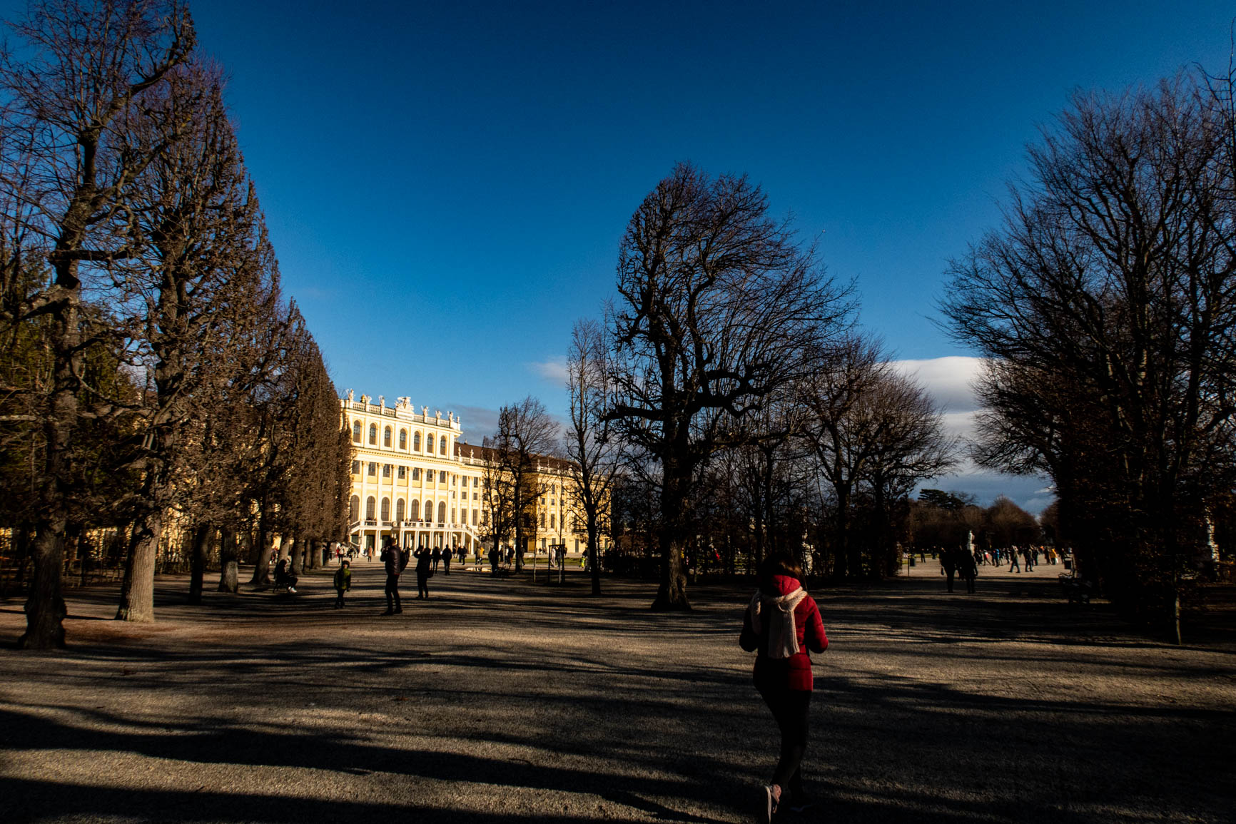 vienna