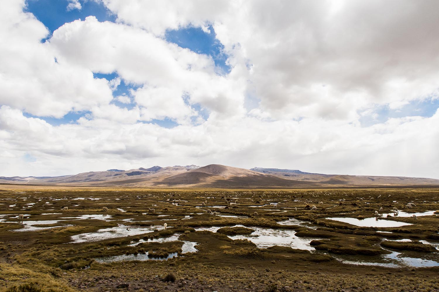 peru