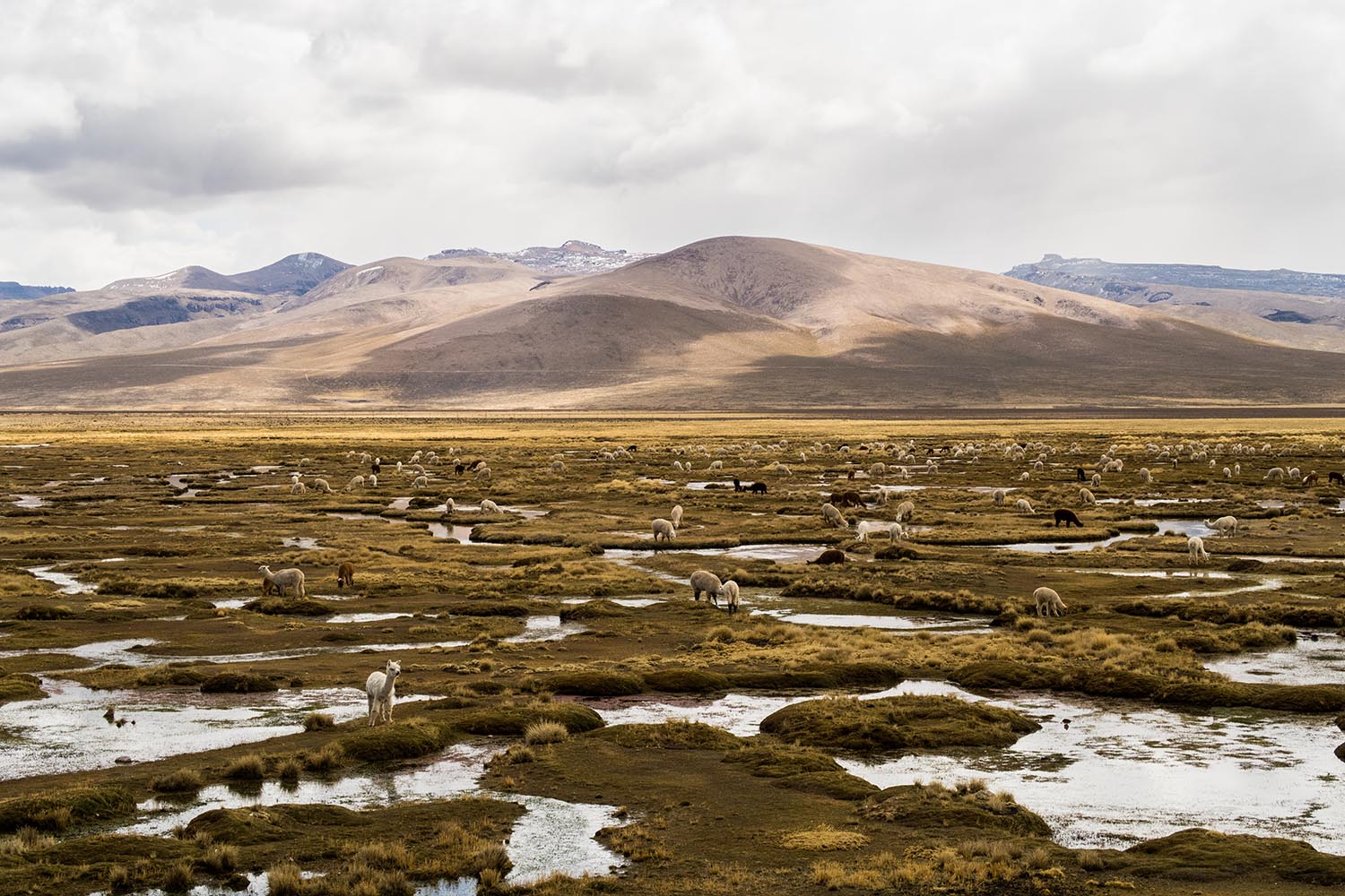 peru