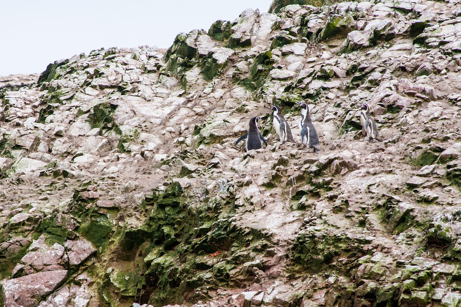 peru