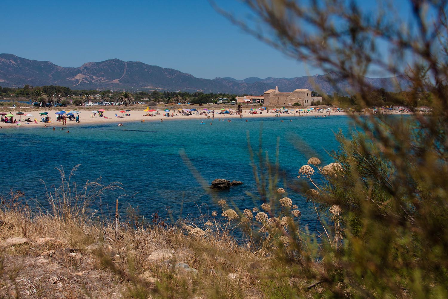 Sardegna