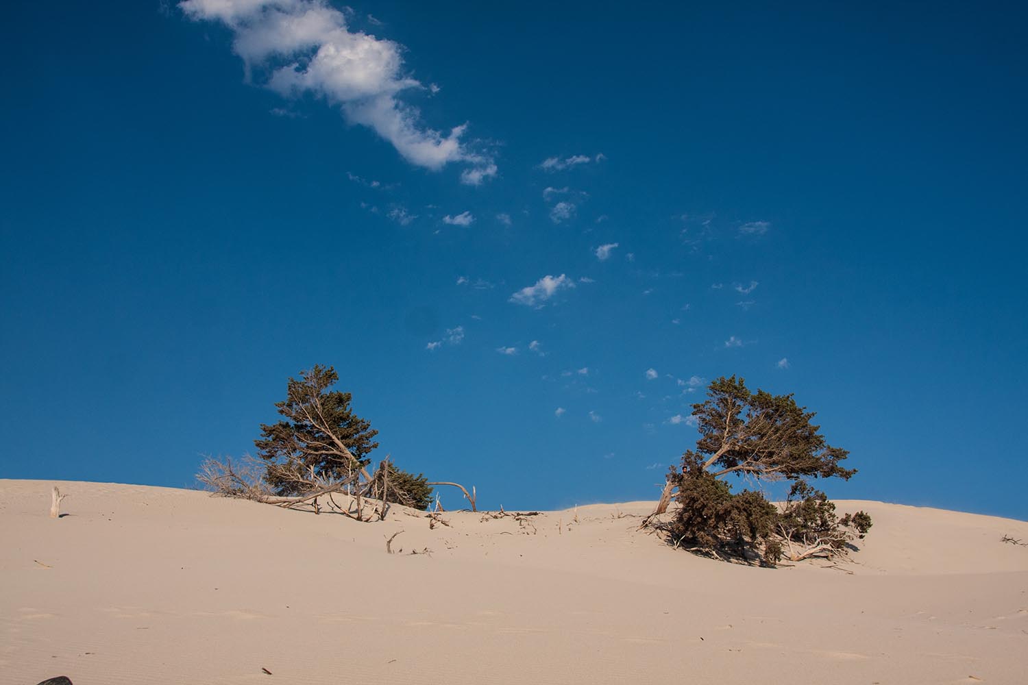 Sardegna