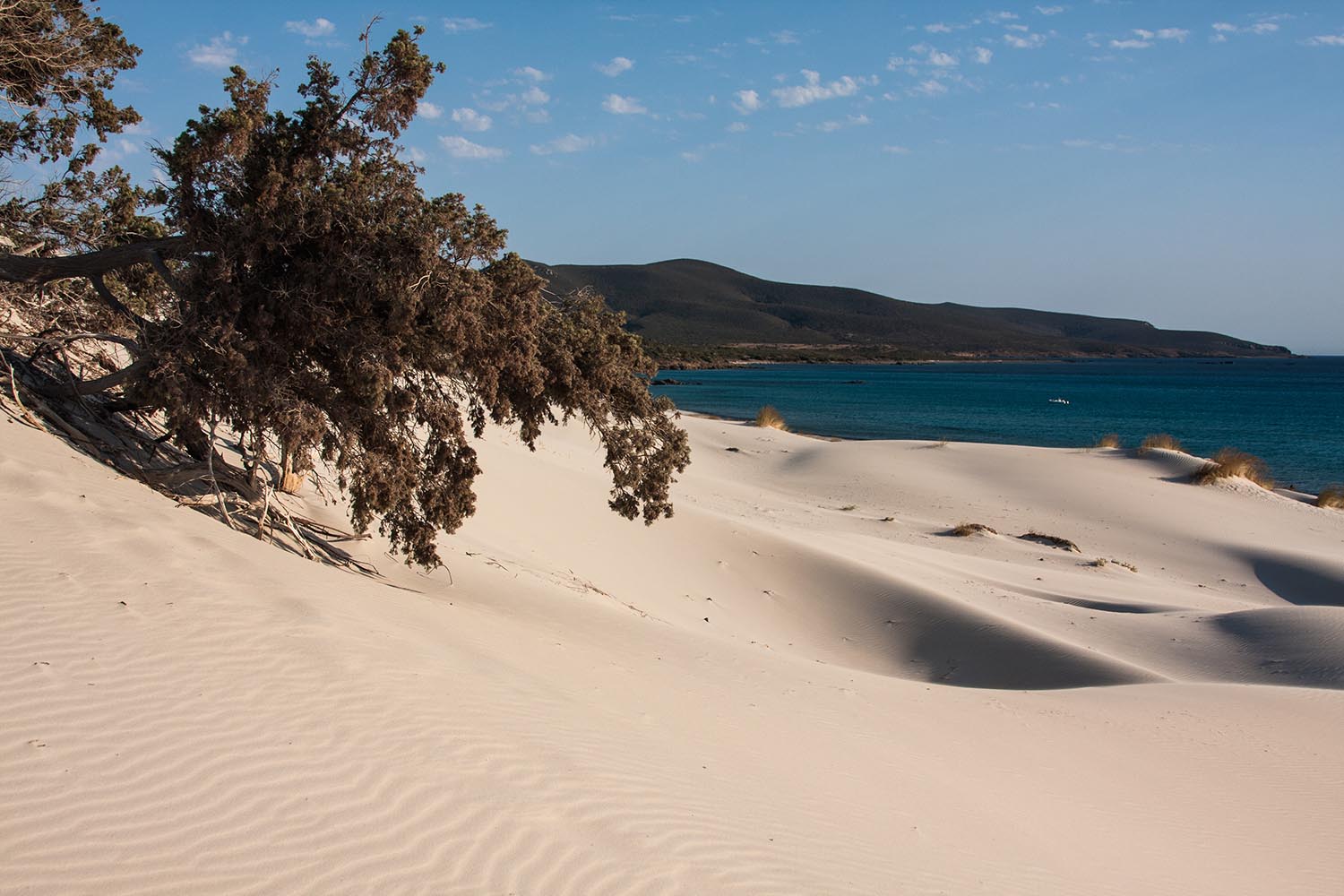 Sardegna