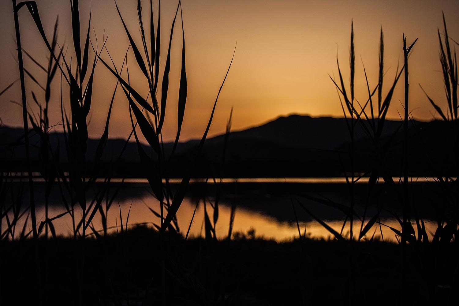 Sardegna