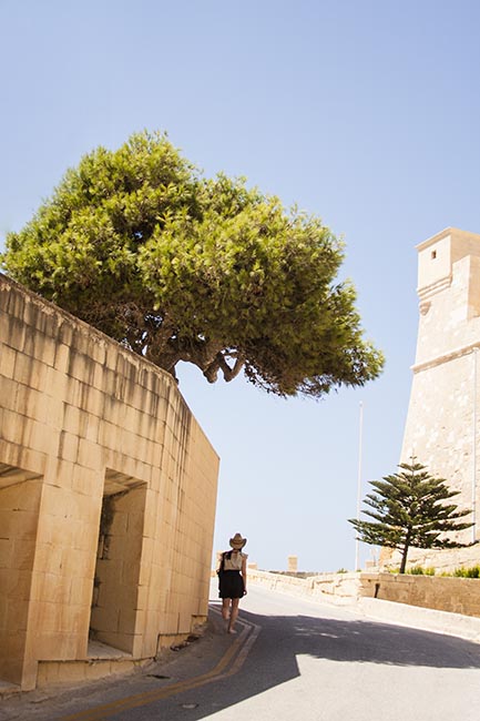 Colori al centro del Mediterraneo - Malta e Gozo