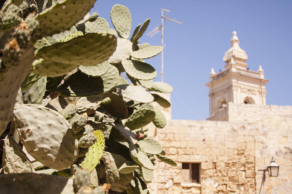 Colori al centro del Mediterraneo - Malta e Gozo