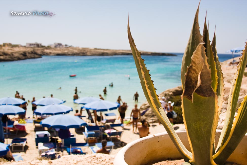 Lampedusa e il suo mare da sogno