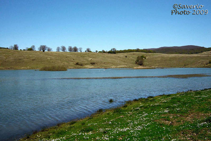 Natura